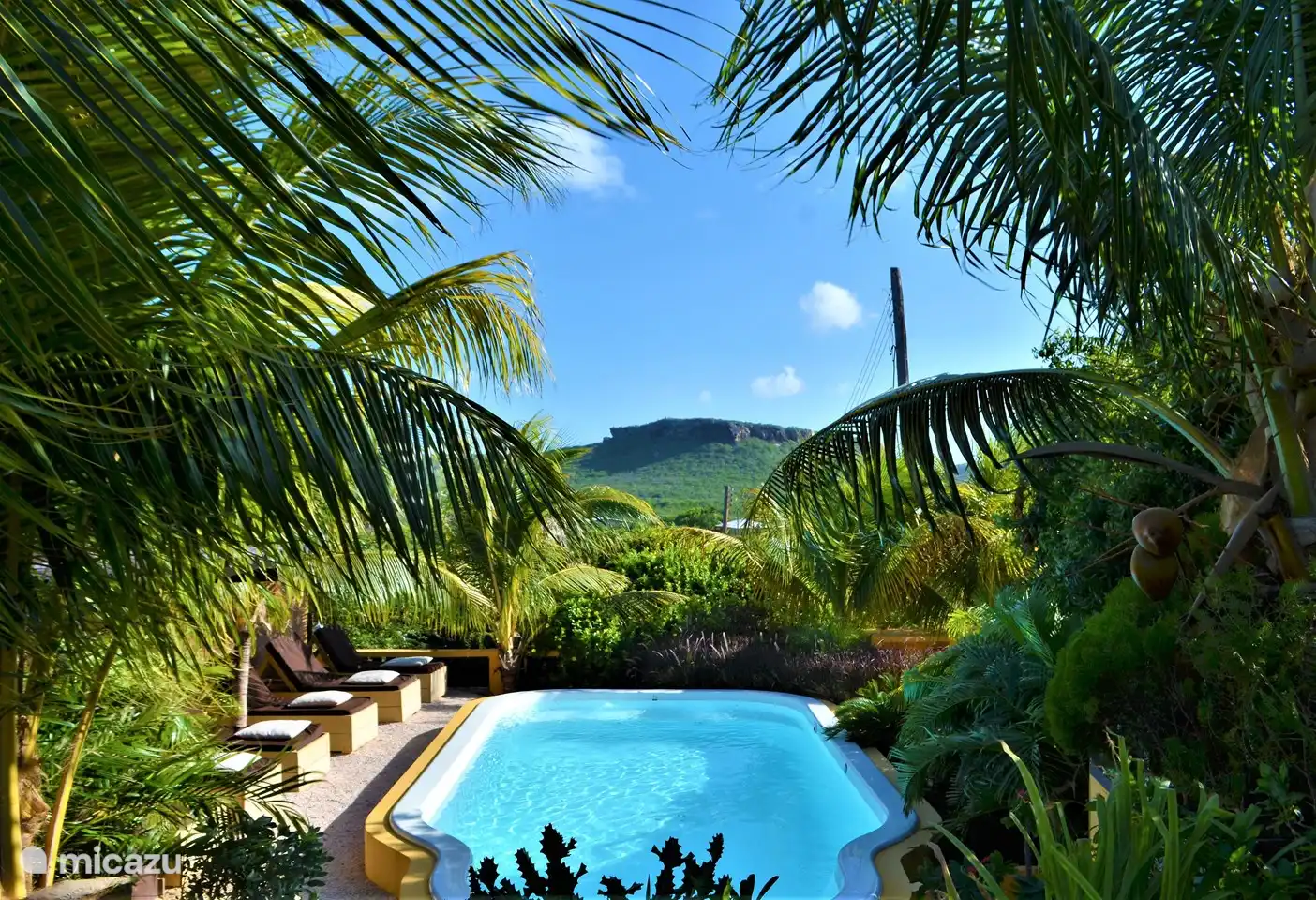 La piscina del jardín tropical está rodeada de palmeras y cómodas tumbonas,