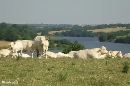 Lieux d'intérêt en Vendée