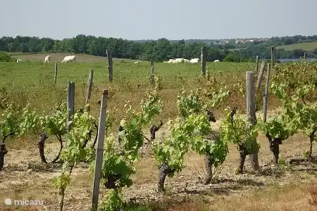 Lieux d'intérêt en Vendée