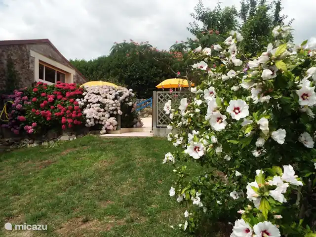 Maison Passerose | France, Vendée, Château-Guibert - maison de vacances Vue de la maison