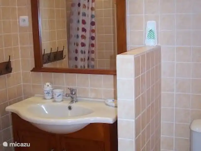 Maison Passerose | France, Vendée, Château-Guibert - maison de vacances belle salle de bain avec douche à l'italienne