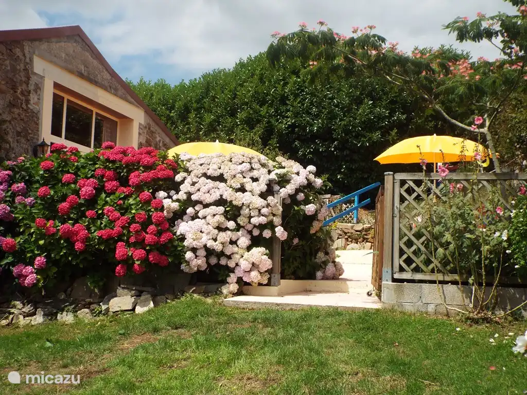 entrada a la terraza