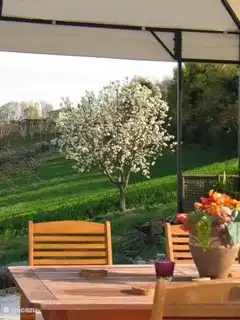 The pear tree in front of the house in bloom