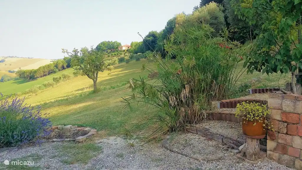 Can you hear the crickets yet?