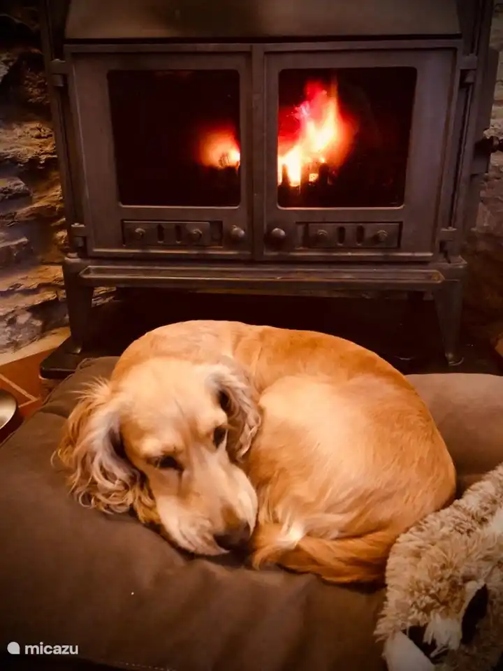 2 pers Petit Gite Ardennen huren in België, Ardennen, Fraiture - Vakantiehuis