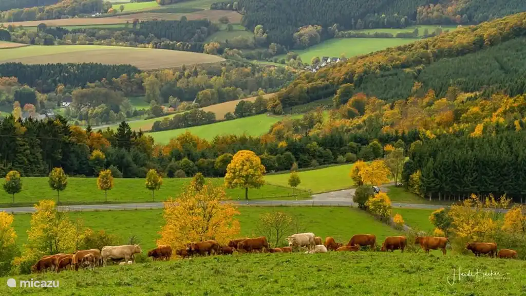 Sauerland in the fall