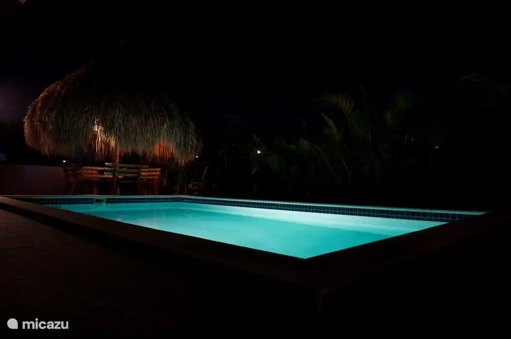 Der Pool in der Nacht