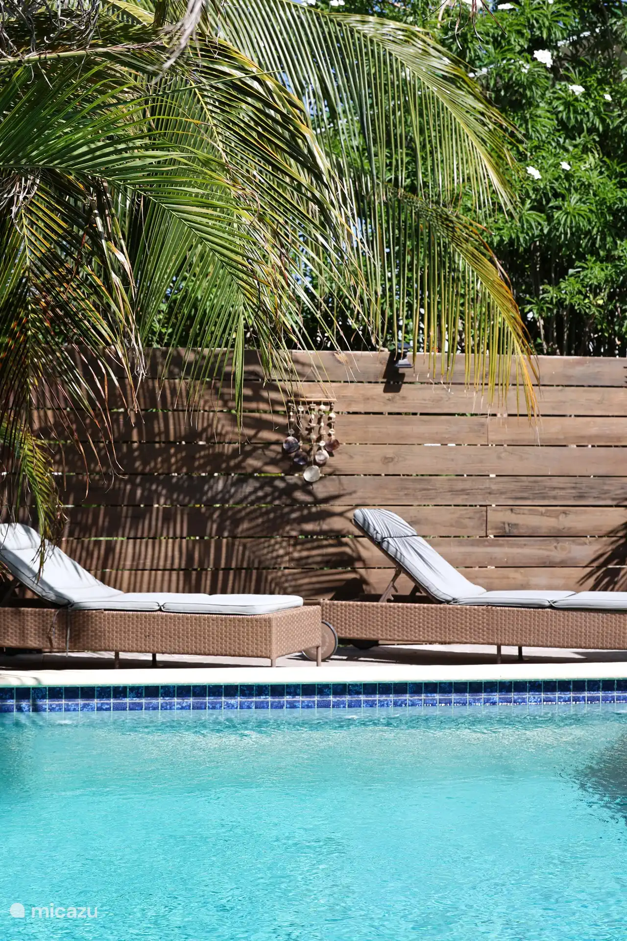 Die Sonnenliegen am Pool