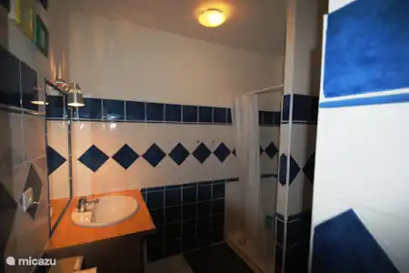 Vakantiehuis Frankrijk, Dordogne, Montignac vakantiehuis Cosy -