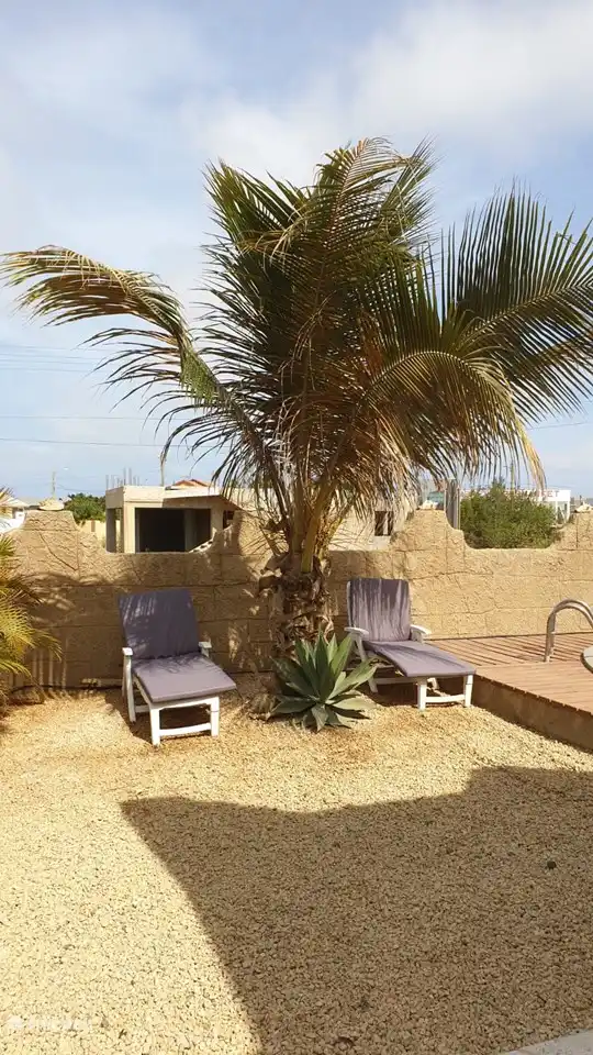 Les transats sont modulables, agréables à l'ombre du palmier, ou au bord de la piscine.