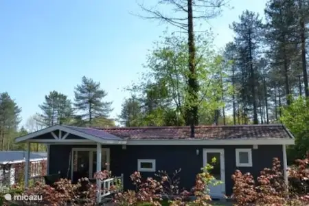 Vakantiehuis Nederland, Utrecht, Rhenen chalet Vakantiehuis in Rhenen! - Nr.179 Vakantiehuis Nederland, Utrecht, Rhenen chalet Vakantiehuis in Rhenen! - Nr.179