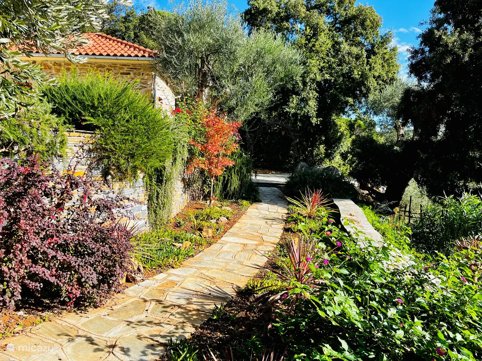 Summer garden by Kalivi Elena