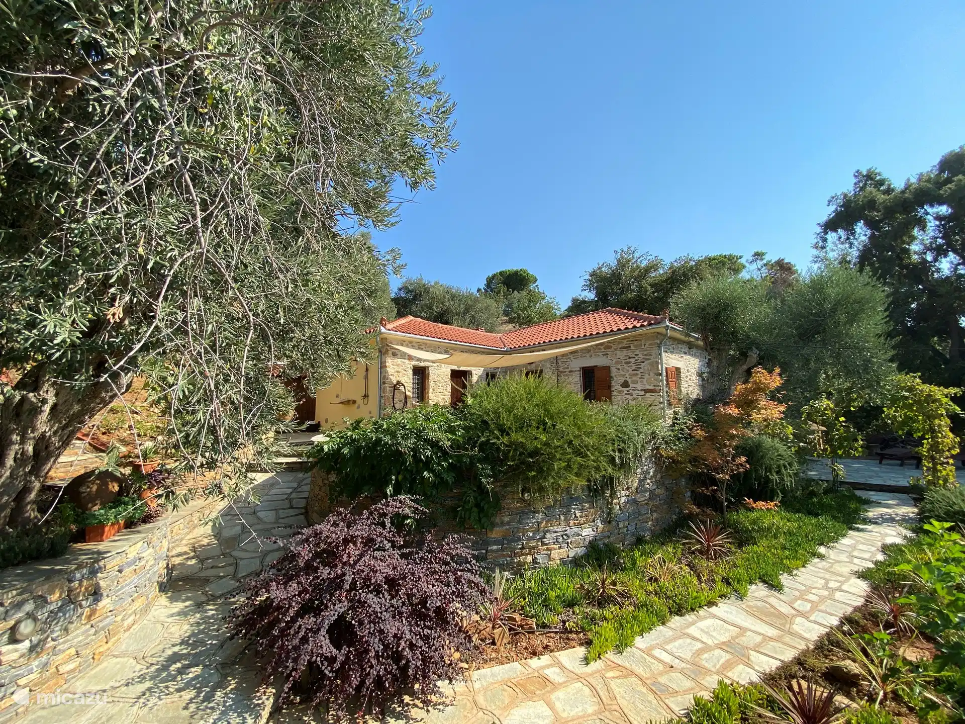 Kalivi Elena front view