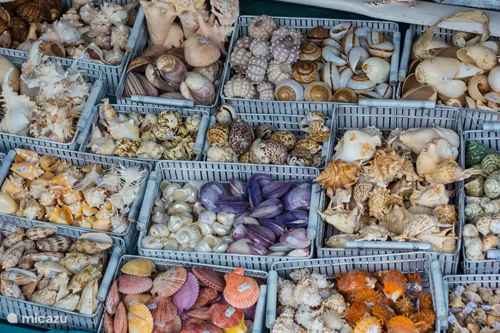 Viel frischer Fisch und Schalentiere