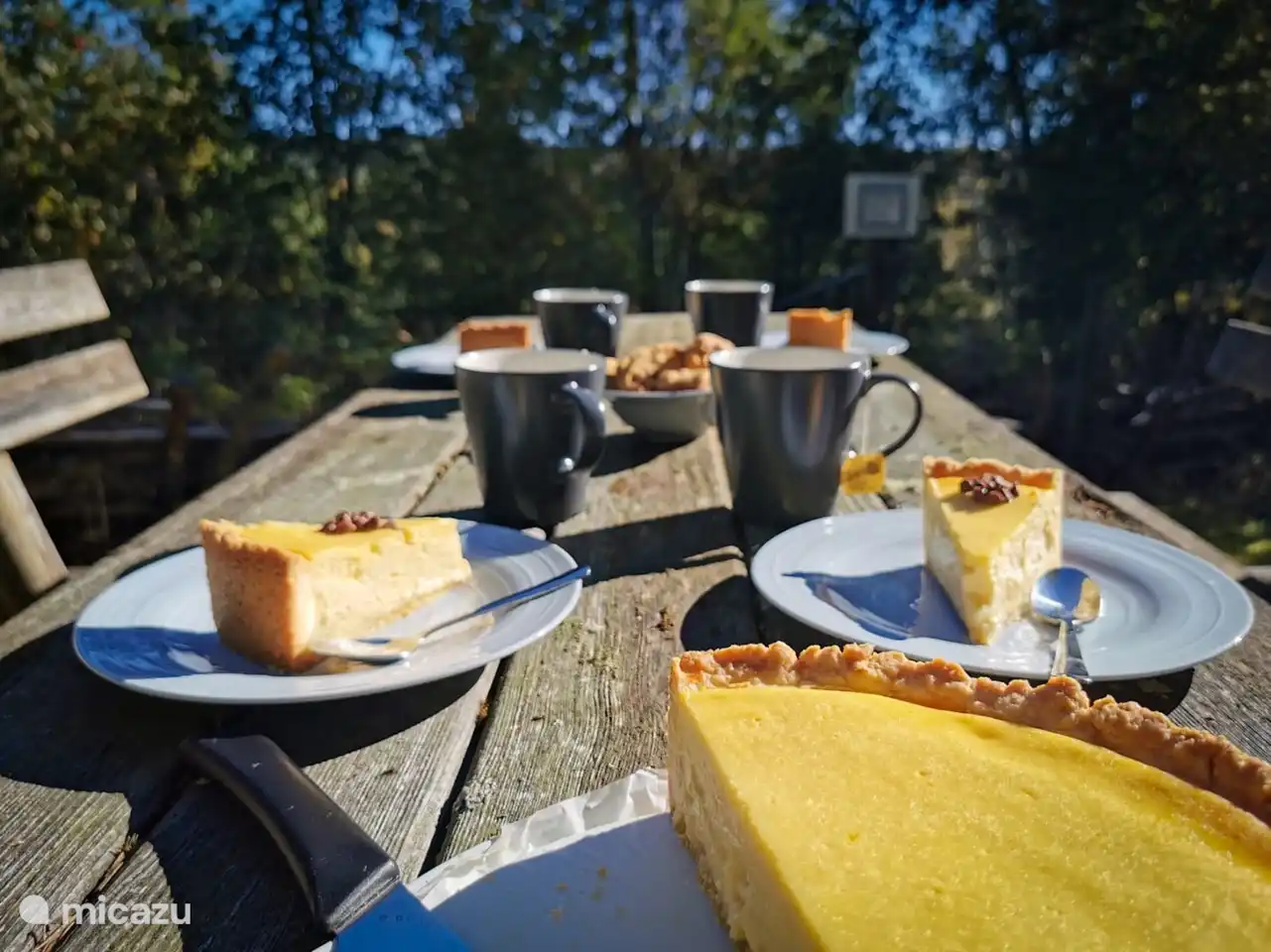Picknick mit schöner Aussicht.......
