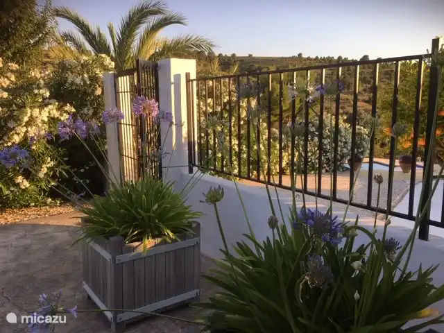 Entouré de verdure, une variété de plantes et de fleurs
