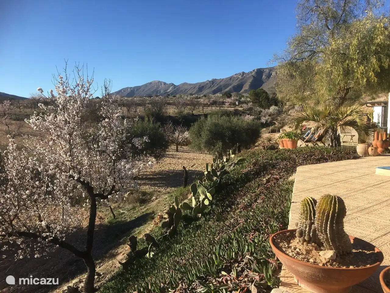 Les montagnes marquent l'horizon