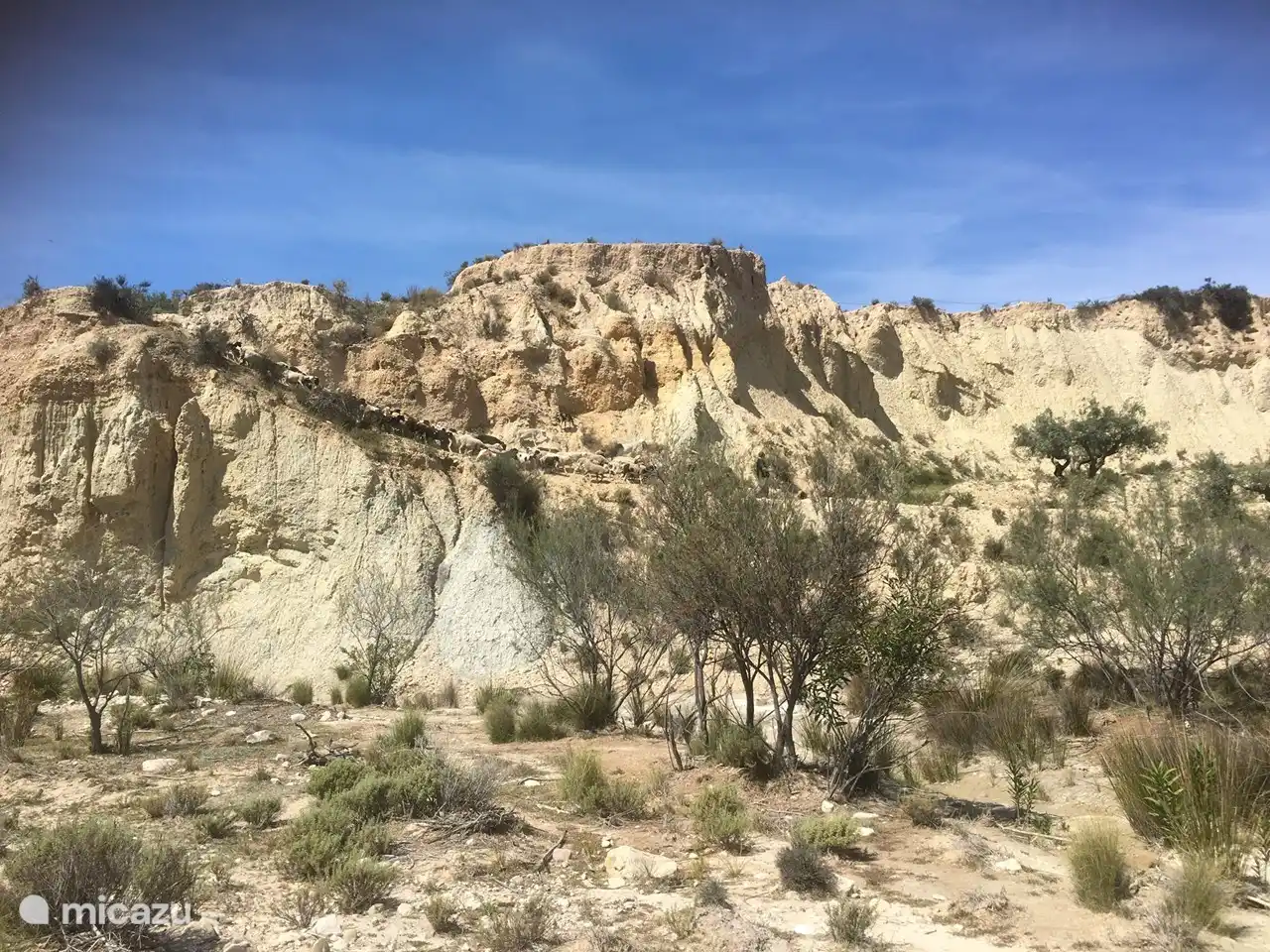 Belles zones de randonnées à proximité, Abanilla à 10 min.