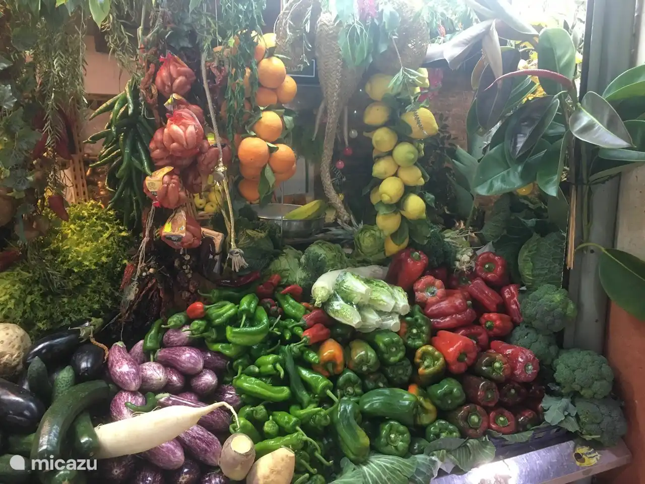 Les marchés quotidiens d'Alicante vous offrent une variété de produits locaux