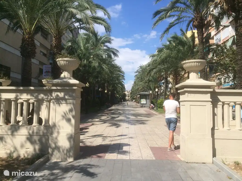 Alicante, la ville parfaite pour ceux qui aiment le shopping et ses nombreuses attractions culturelles (30min. / voiture)