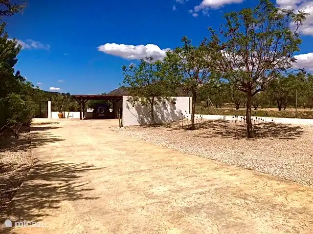 Une allée spacieuse et un abri d'auto derrière une clôture fermée procurent une sensation de sécurité