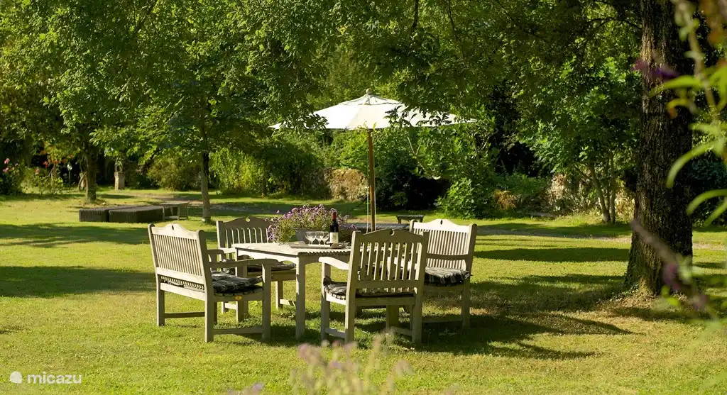 Garden with luxurious furniture