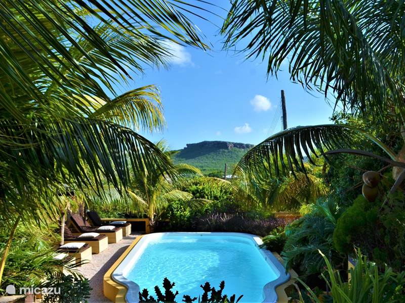 Ferienwohnung Curaçao, Banda Abou (West), Sint Willibrordus Appartement Iguana View App 3 Jan Kok Lodges