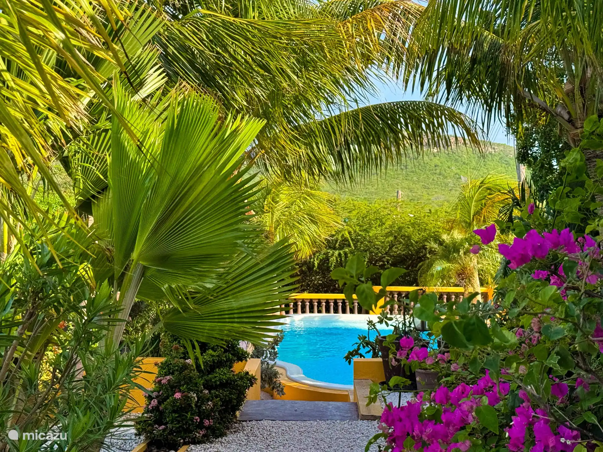 La piscina está rodeada de palmeras y cómodas tumbonas.
