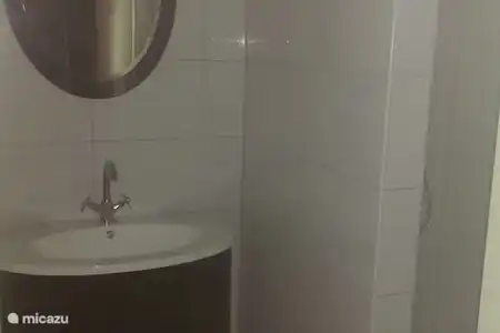 Vakantiehuis Nederland, Overijssel, Ootmarsum vakantiehuis Twentse-Ros Badkamer met inloopdouche