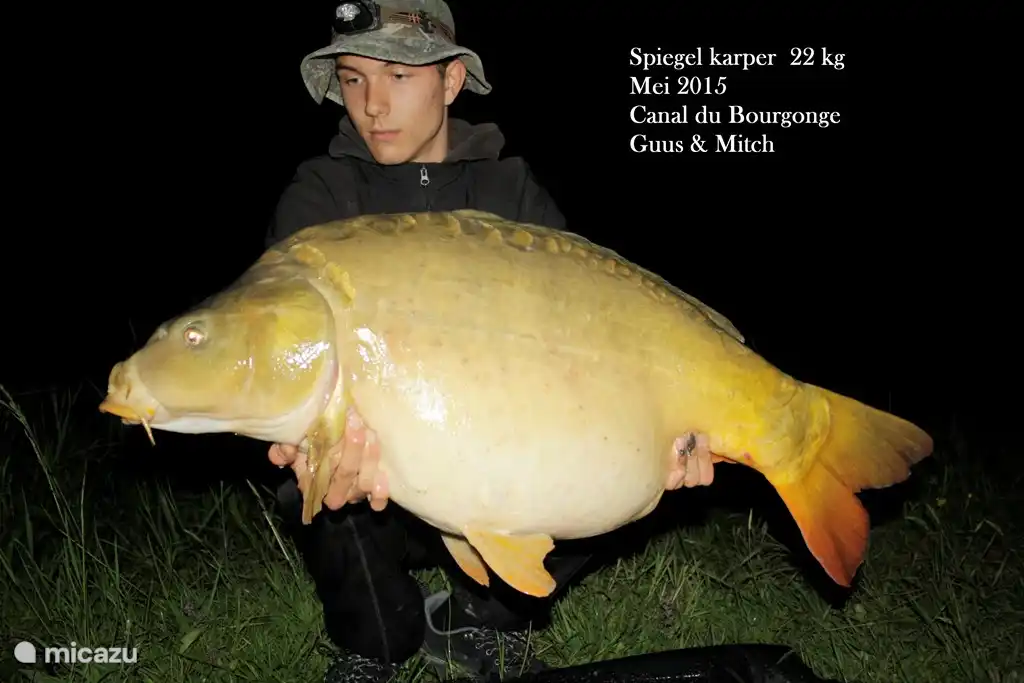 vis mogelijkheden volop !!