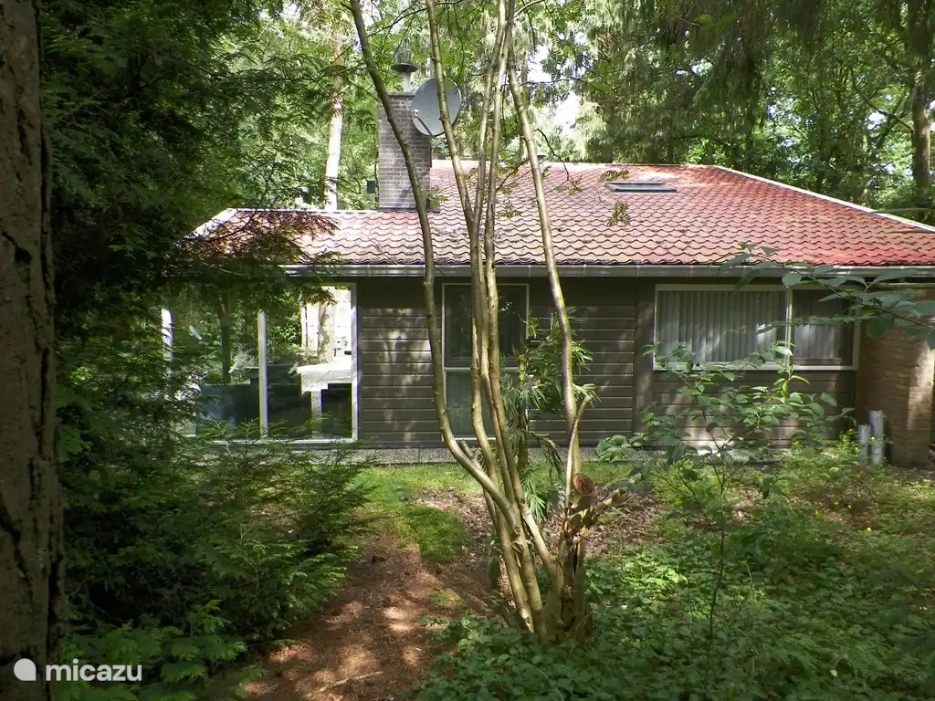 Bungalow 'Boslust' in Netherlands, Overijssel, Rheezerveen - bungalow