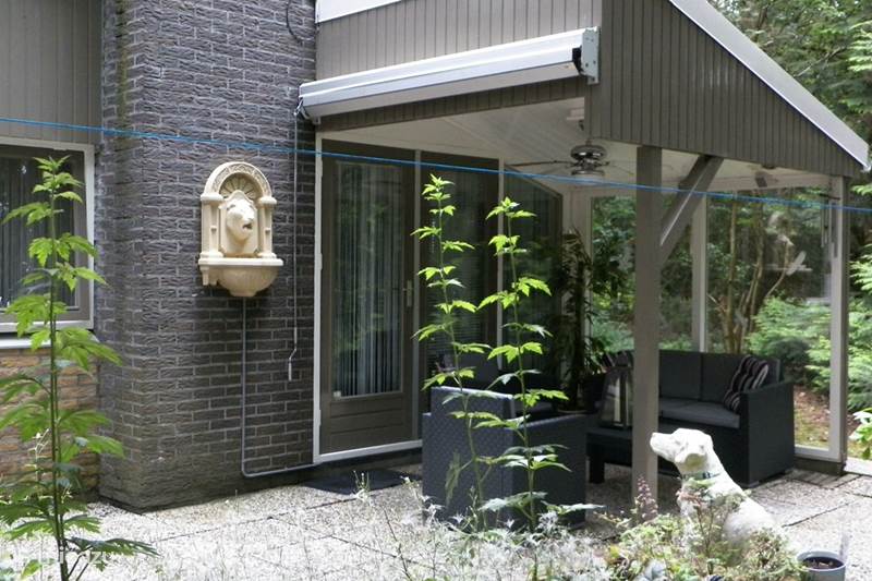 Vakantiehuis Nederland, Overijssel, Rheezerveen Bungalow Bungalow 'Boslust'