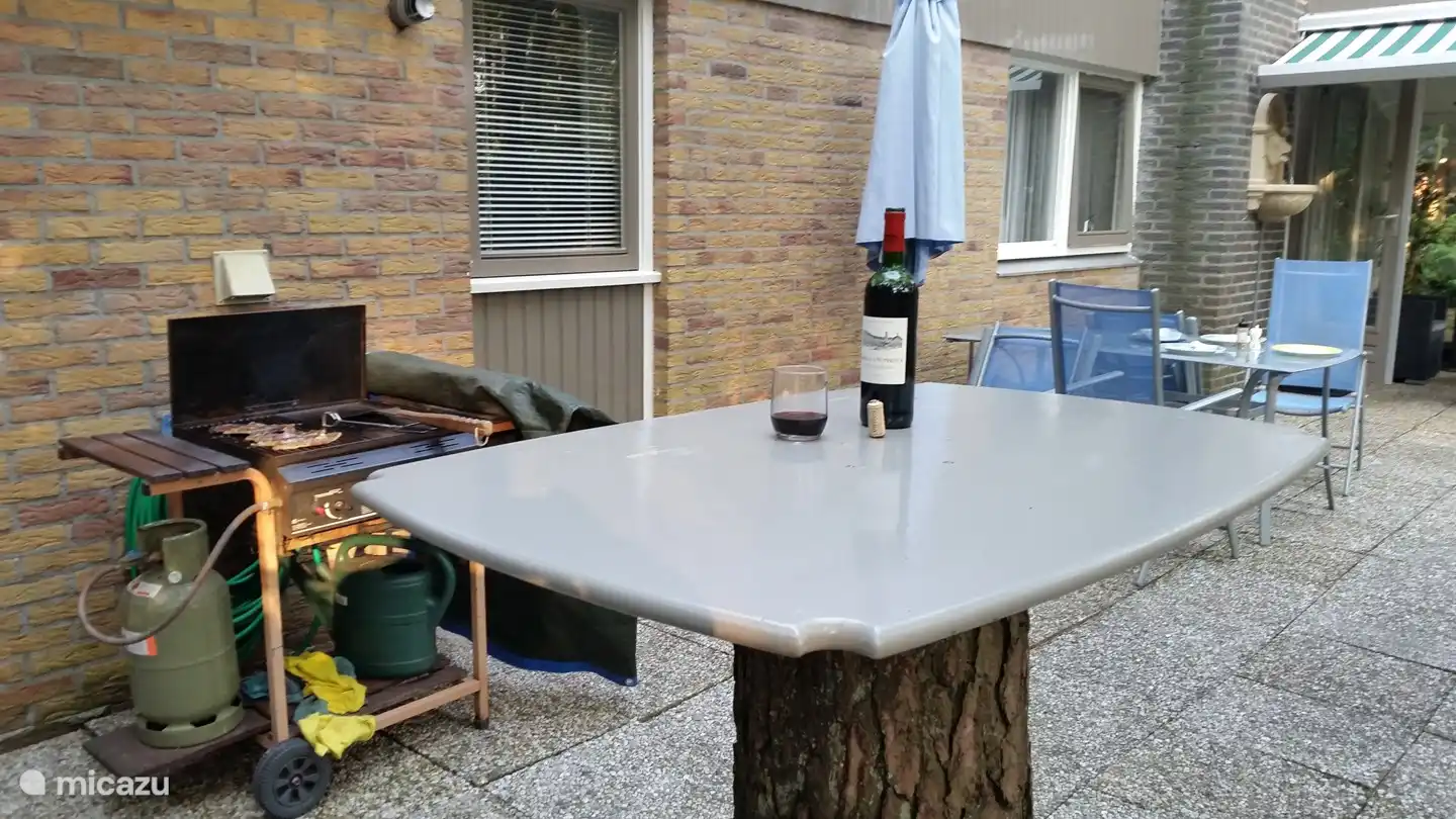 Gas grill with table