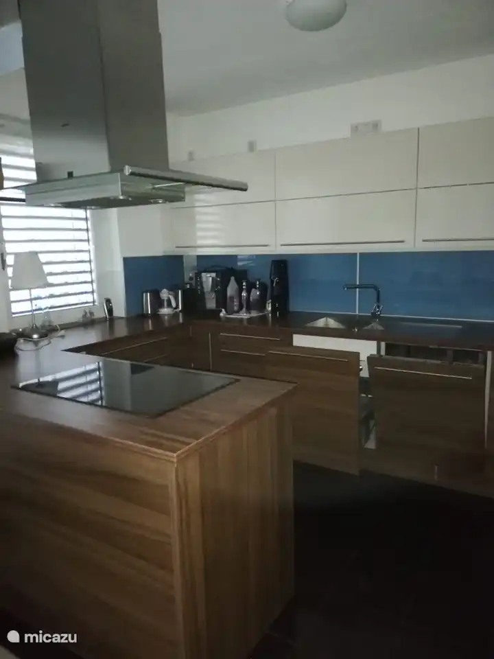 Umfangreiche Küche mit Geräten