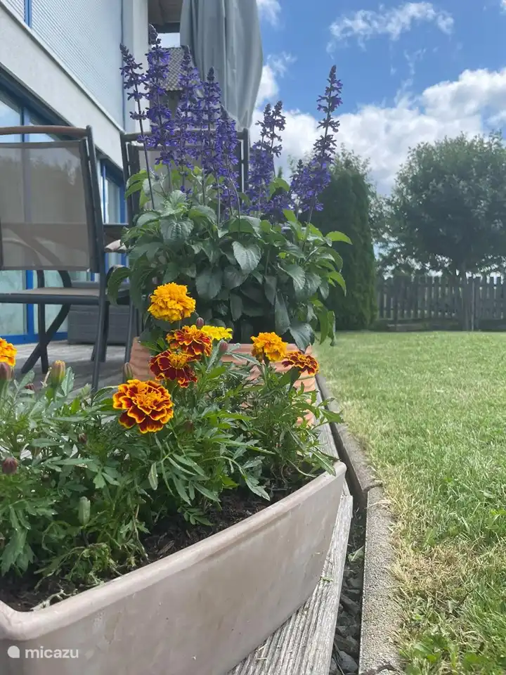 Eingezäunter Garten mit Terrasse und Lounge