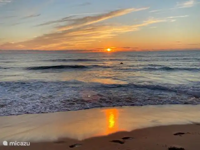 pension / guesthouse / privékamer huren in Portugal, Costa de Prata, Boa Vista – Casa Entre Praias, guesthouse Tulipa .