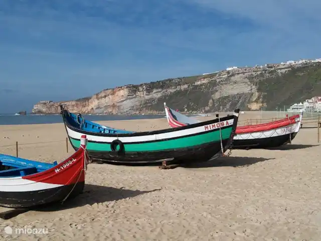 pension / guesthouse / privékamer huren in Portugal, Costa de Prata, Boa Vista – Casa Entre Praias, guesthouse Tulipa Nazare