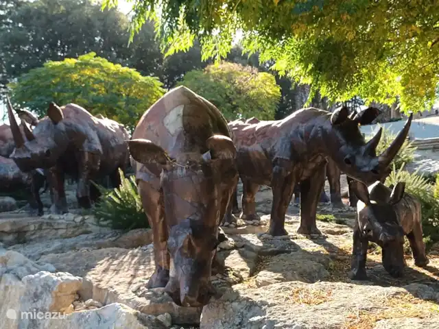 pension / guesthouse / privékamer huren in Portugal, Costa de Prata, Boa Vista – Casa Entre Praias, guesthouse Tulipa buddha eden garden