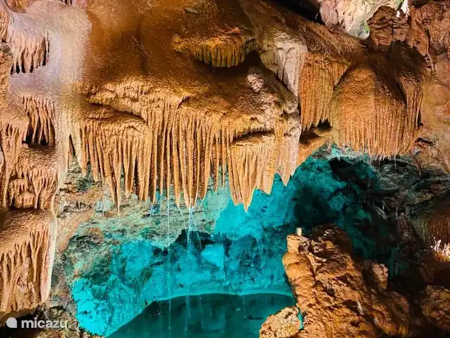 pension / guesthouse / privékamer huren in Portugal, Costa de Prata, Boa Vista – Casa Entre Praias, guesthouse Tulipa de Grutas