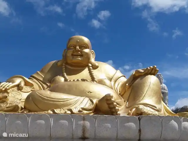 pension / guesthouse / privékamer huren in Portugal, Costa de Prata, Boa Vista – Casa Entre Praias, guesthouse Tulipa Buddha Eden graden