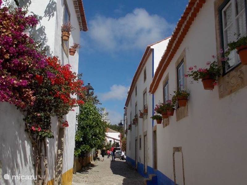 Vakantiehuis Portugal, Costa de Prata, Boa Vista Pension / Guesthouse / Privékamer Casa Entre Praias, guesthouse Tulipa