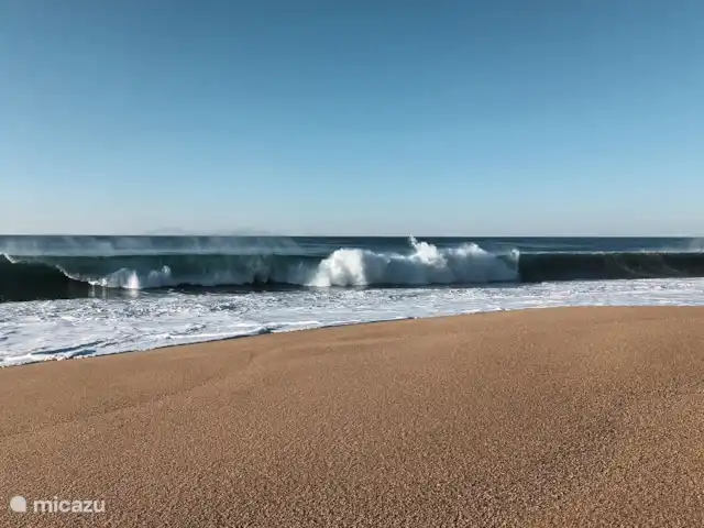 pension / guesthouse / privékamer huren in Portugal, Costa de Prata, Boa Vista – Casa Entre Praias, guesthouse Tulipa een van de vele stranden
