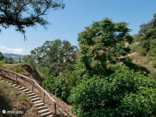 Molino La Ratonera en España, Andalucía, Zagra - molino