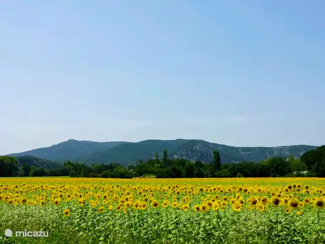 Villa Beau Rêve avec piscine privée | France, Ardèche, Vallon-Pont-d'Arc - villa Champs de tournesols à proximité