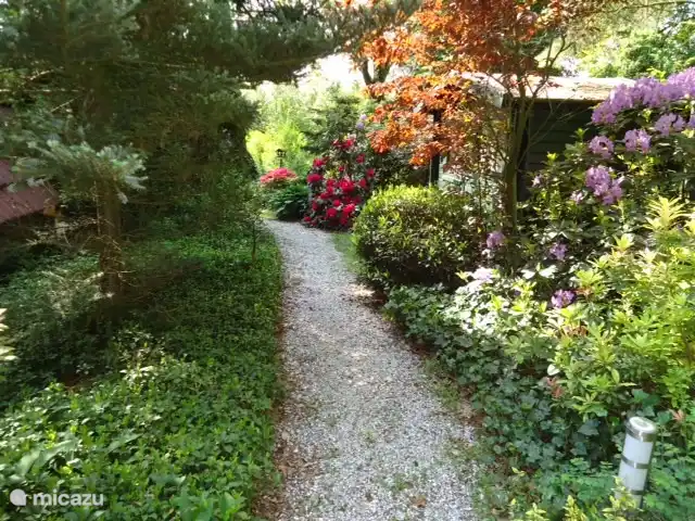 Pfad entlang des Hauses