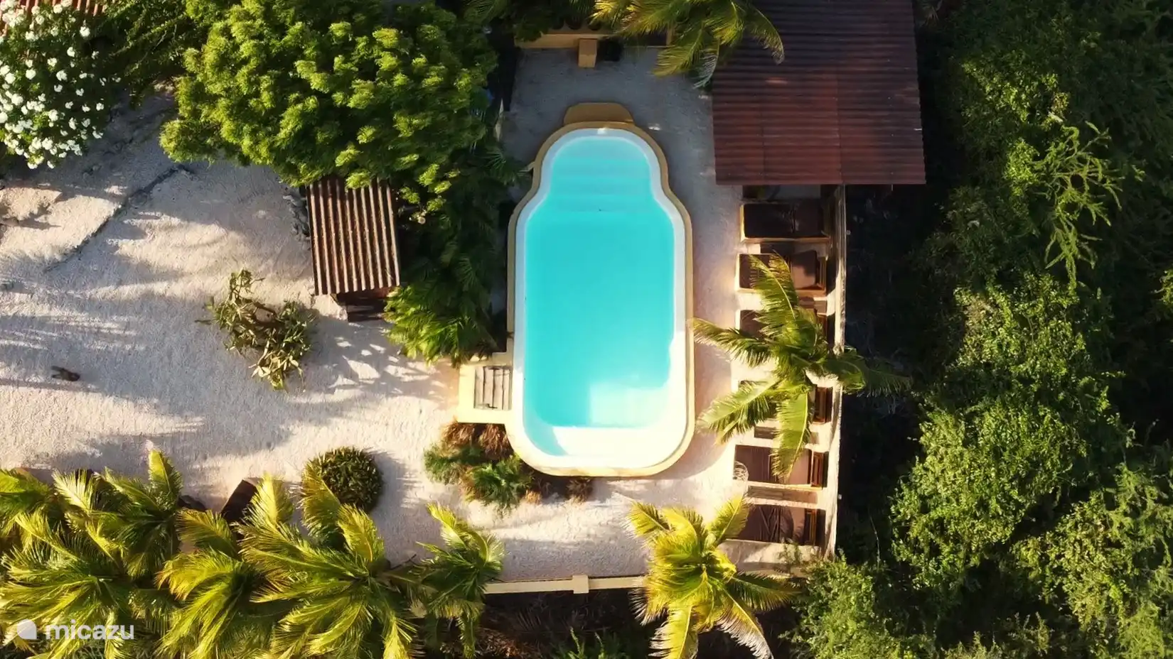 Piscina rodeada de palmeras y cómodas tumbonas.