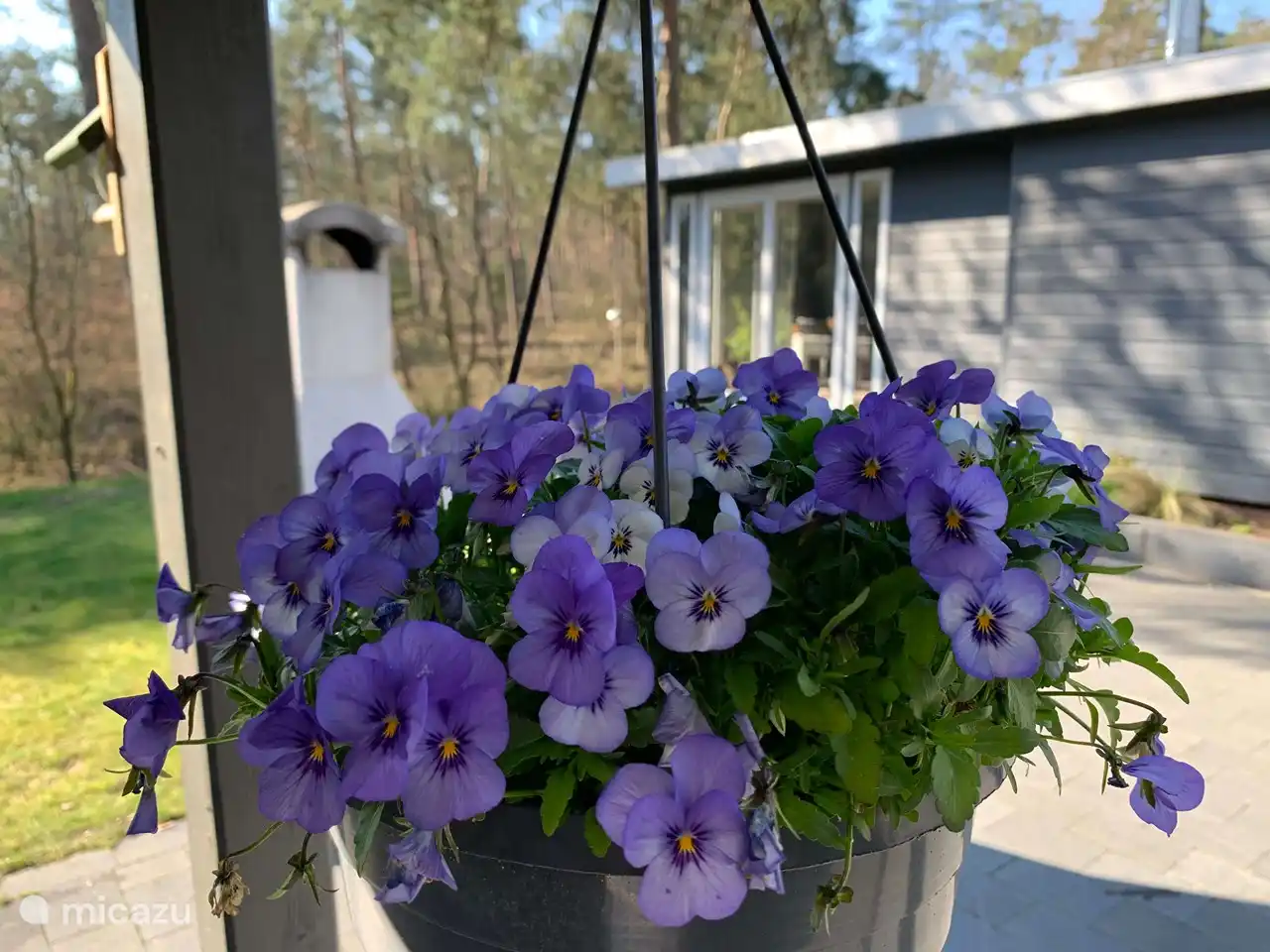 Gezien vanuit de overkapping.