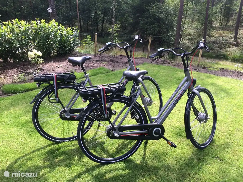 2 elektrische fietsen staan voor u klaar.