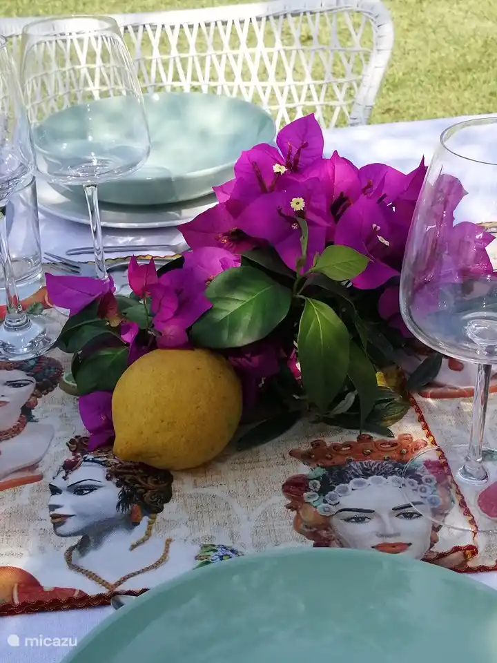 Keine Lust zu kochen? Davide kocht gerne auf Anfrage. Romantisches Abendessen unter Olivenbäumen oder eine Kleinigkeit auf der eigenen Terrasse!