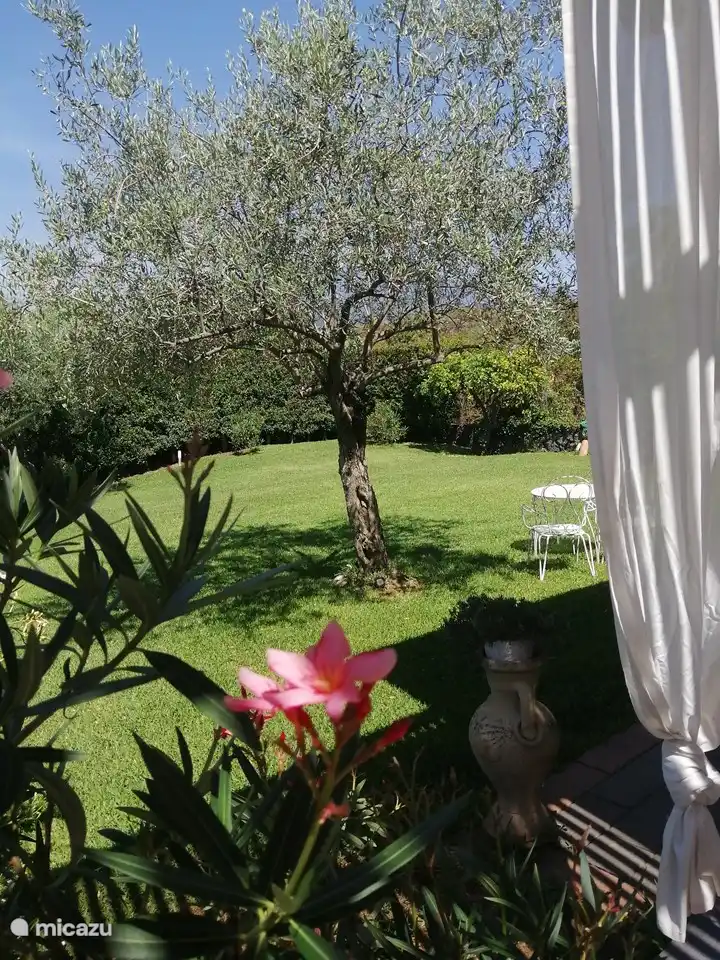 Entspannen Sie im mediterranen Garten unter den Olivenbäumen...mit Blick auf den Ätna!
